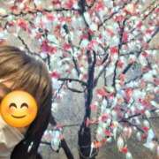 ヒメ日記 2025/03/08 18:04 投稿 かえで 小岩人妻花壇