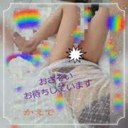 ヒメ日記 2025/07/01 18:02 投稿 かえで 小岩人妻花壇