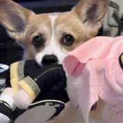 ヒメ日記 2024/12/23 16:45 投稿 小山 MadameRest(マダムレスト)