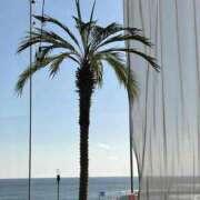 ヒメ日記 2025/02/02 17:40 投稿 小山 MadameRest(マダムレスト)