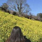 ヒメ日記 2025/03/08 15:57 投稿 小山 MadameRest(マダムレスト)