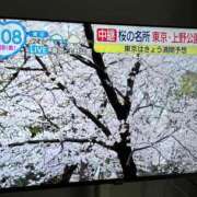 ヒメ日記 2025/03/28 12:35 投稿 小山 MadameRest(マダムレスト)