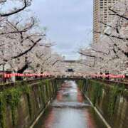 ヒメ日記 2025/04/02 20:56 投稿 小山 MadameRest(マダムレスト)