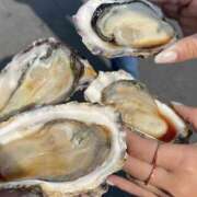 ヒメ日記 2025/06/07 08:49 投稿 小山 MadameRest(マダムレスト)