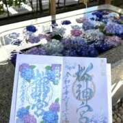 ヒメ日記 2025/07/06 12:56 投稿 小山 MadameRest(マダムレスト)