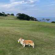 ヒメ日記 2025/08/04 23:46 投稿 小山 MadameRest(マダムレスト)