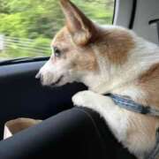 ヒメ日記 2025/08/06 23:57 投稿 小山 MadameRest(マダムレスト)