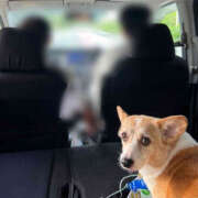 ヒメ日記 2025/08/16 05:29 投稿 小山 MadameRest(マダムレスト)