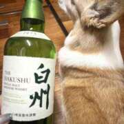 ヒメ日記 2026/03/05 20:42 投稿 小山 MadameRest(マダムレスト)