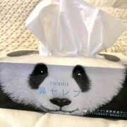 ヒメ日記 2026/03/20 06:11 投稿 小山 MadameRest(マダムレスト)