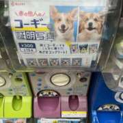 ヒメ日記 2026/06/16 03:22 投稿 小山 MadameRest(マダムレスト)