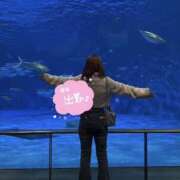 そら 出勤? 福岡大野城・板付インターちゃんこ