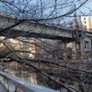 ヒメ日記 2025/02/28 15:58 投稿 さきな 東京人妻セレブリティ（ユメオト）