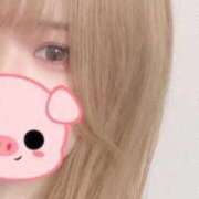 ヒメ日記 2026/02/12 20:23 投稿 ひなの リアル 日本橋店