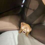 ヒメ日記 2025/08/05 22:16 投稿 蒼井りさ SM・M性感・ニューハーフ Club EMBASSY(クラブエンバシー)岡山店