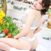 ヒメ日記 2025/10/22 09:41 投稿 つき Versailles