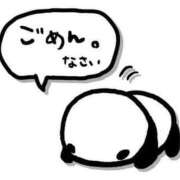 ヒメ日記 2025/02/24 10:51 投稿 ねこ 男爵