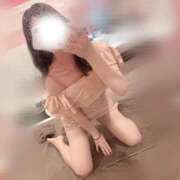 ヒメ日記 2025/07/19 08:45 投稿 ねこ 男爵