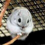 ヒメ日記 2026/04/12 14:31 投稿 あんな 立川女学園