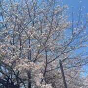 ヒメ日記 2026/04/02 20:02 投稿 ウイ AMOUR（アムール）