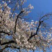 ウイ 💖みんなでお花見💖 AMOUR（アムール）