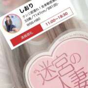 ヒメ日記 2026/04/08 16:59 投稿 しおり 迷宮の人妻 古河・久喜発