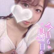 ヒメ日記 2025/10/10 14:48 投稿 かの スピードエコ梅田店