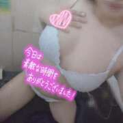 ヒメ日記 2025/02/05 02:01 投稿 あまね セレブクエスト-koshigaya-