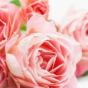 ヒメ日記 2024/12/17 09:54 投稿 蓮見 れいか こあくまな熟女たち三河店（KOAKUMAグループ）