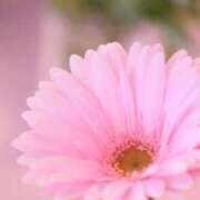 ヒメ日記 2025/03/17 20:02 投稿 蓮見 れいか こあくまな熟女たち三河店（KOAKUMAグループ）