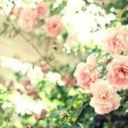 ヒメ日記 2025/05/07 12:16 投稿 蓮見 れいか こあくまな熟女たち三河店（KOAKUMAグループ）