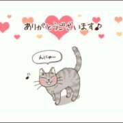 ヒメ日記 2025/05/07 14:05 投稿 蓮見 れいか こあくまな熟女たち三河店（KOAKUMAグループ）