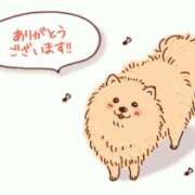 ヒメ日記 2025/05/10 23:41 投稿 蓮見 れいか こあくまな熟女たち三河店（KOAKUMAグループ）