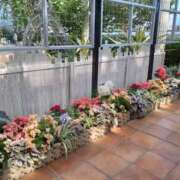 ヒメ日記 2025/08/26 11:58 投稿 蓮見 れいか こあくまな熟女たち三河店（KOAKUMAグループ）