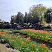 ヒメ日記 2025/09/03 11:12 投稿 蓮見 れいか こあくまな熟女たち三河店（KOAKUMAグループ）