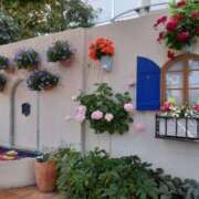 ヒメ日記 2026/02/09 19:41 投稿 蓮見 れいか こあくまな熟女たち三河店（KOAKUMAグループ）