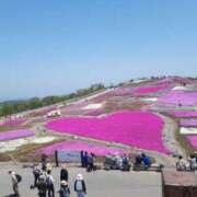 ヒメ日記 2026/02/17 20:52 投稿 蓮見 れいか こあくまな熟女たち三河店（KOAKUMAグループ）