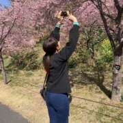 ヒメ日記 2026/03/15 10:39 投稿 蓮見 れいか こあくまな熟女たち三河店（KOAKUMAグループ）