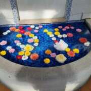 ヒメ日記 2026/03/19 08:37 投稿 蓮見 れいか こあくまな熟女たち三河店（KOAKUMAグループ）