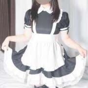 ヒメ日記 2025/02/10 16:19 投稿 セラ ツートップ