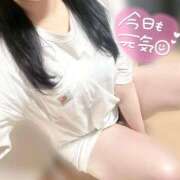 ヒメ日記 2025/08/27 19:09 投稿 セラ ツートップ