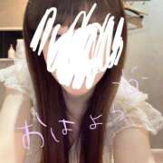 ヒメ日記 2025/05/26 08:35 投稿 かがみ The White