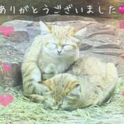 ホノカ ありがとうございました💖 奥様の秘密のお仕事