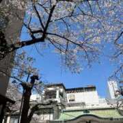 ヒメ日記 2025/04/07 19:37 投稿 一ノ瀬あすなエグゼクティブ -NEO-皇帝別館（中央街）