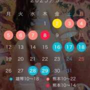 ヒメ日記 2025/05/07 15:47 投稿 一ノ瀬あすなエグゼクティブ -NEO-皇帝別館（中央街）