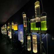 ヒメ日記 2025/10/10 11:37 投稿 一ノ瀬あすなエグゼクティブ -NEO-皇帝別館（中央街）