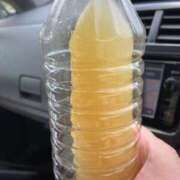 ヒメ日記 2025/09/25 11:02 投稿 中村ゆきの 五十路マダム富山店(カサブランカグループ)