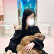 ヒメ日記 2025/10/17 13:41 投稿 Rin THE RICH