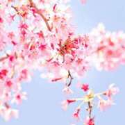 ヒメ日記 2025/04/04 11:43 投稿 中森 すみれ こあくまな熟女たち伊勢崎店（KOAKUMAグループ）