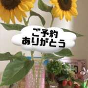 ヒメ日記 2025/07/11 10:36 投稿 中森 すみれ こあくまな熟女たち伊勢崎店（KOAKUMAグループ）